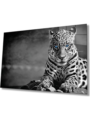Shopping Haven Çita Hayvan Portresi Cam Tablo, Ev ve Ofis Duvar Dekoru, Hediyelik Büyük Temperli 4 mm Cam Tablo