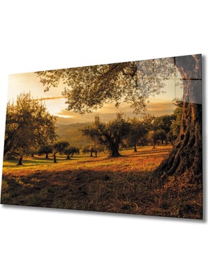 Shopping Haven Son Bahar  Dayanıklı Cam Tablo | Modern Dekoratif Cam Tablo