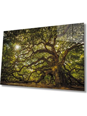 Shopping Haven Ağaç Orman Güneş Yeşil Cam Tablo, Ev ve Ofis Duvar Dekoru Hediyelik Büyük Tablo Dayanıklı Cam