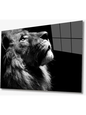 Shopping Haven Aslan Hayvan Cam Tablo 4mm Dayanıklı Temperli Cam