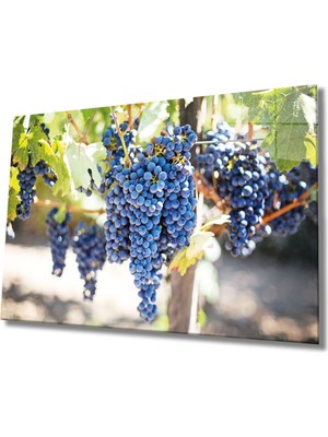 Shopping Haven Meyveler Cam Tablo 4mm Dayanıklı Temperli Cam