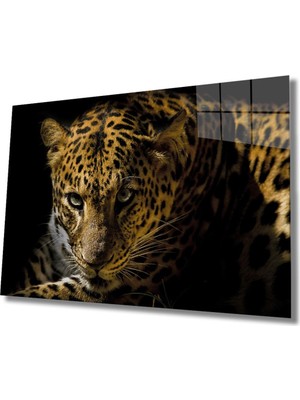 Shopping Haven Leopar Hayvan Cam Tablo
