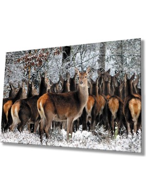 Shopping Haven Geyikler Hayvan Cam Tablo 4mm Dayanıklı Temperli Cam