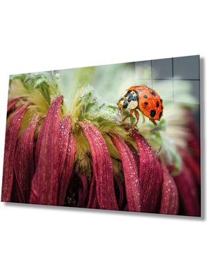 Shopping Haven Uğur Böceği ve Yaprak Cam Tablo, Ev ve Ofis Duvar Dekoru, Hediyelik Büyük Temperli 4 mm Cam Tablo