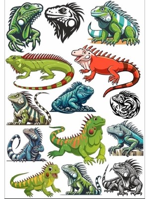 Iguana Sticker Set