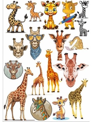 Zürafa Sticker Set