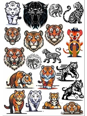 Kaplan Sticker Set 2