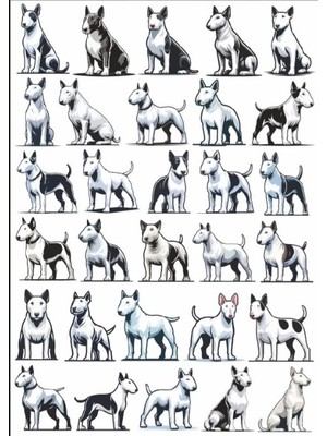 Köpek Sticker Set