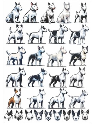 Köpek Sticker Set