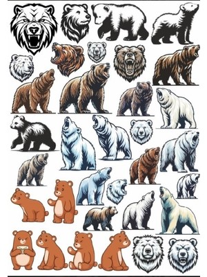 Ayı Sticker Set