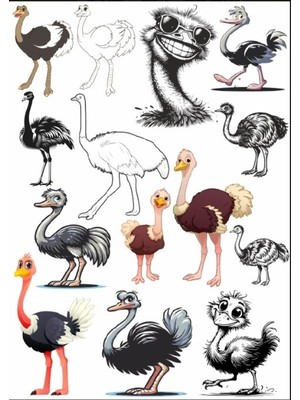 Deve Kuşu Sticker Set