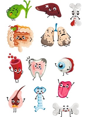 Sevimli Organlar Sticker Set