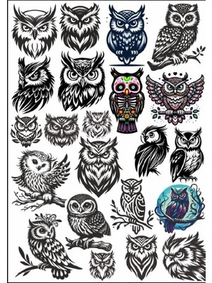 Baykuş Sticker Set