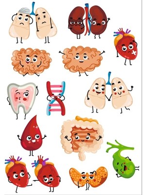 Sevimli Organlar Sticker Set