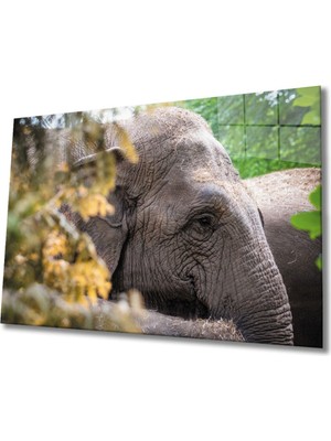 Shopping Haven Fil Cam Tablo