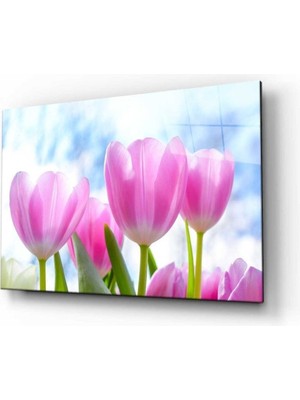 Shopping Haven Doğa Manzara Cam Tablo 4mm Dayanıklı Temperli Cam