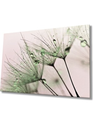 Shopping Haven Yeşil Karahindiba Cam Tablo