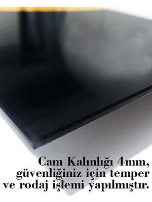 Shopping Haven Aslan Hayvan Cam Tablo 4mm Dayanıklı Temperli Cam