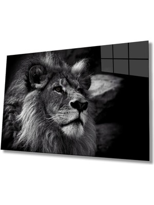 Aslan Hayvan Cam Tablo 4mm Dayanıklı Temperli Cam