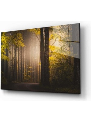 Shopping Haven Doğa Manzara Cam Tablo 4mm Dayanıklı Temperli Cam