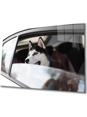 Köpek 4 Cam Tablo