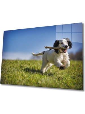 Köpek 3 Cam Tablo