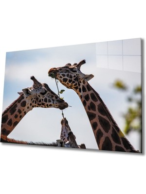 Zürafa Cam Tablo
