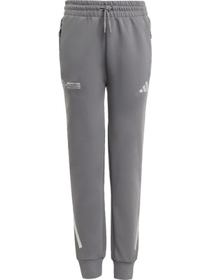 Adidas Performance JW8510 Mercedes - Amg Petronas Formula One Team Silver Arrows Pant Kids