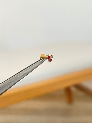 Aida Jewelss 316 L Cerrahi Çelik 3 Renkli Taşlı Conch Kıkırdak Helix Dudak Tragus Piercingi