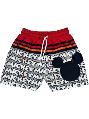 Erkek Çocuk Gri Renk Karakter Desenli Paraşüt Kumaş Deniz Şortu