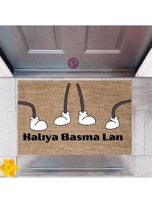 Kapı Önü Paspası Dekoratif Dijital Baskı Halıya Basma Lan P-2384