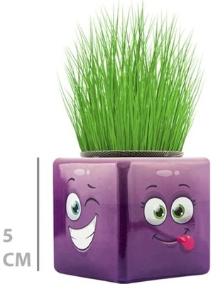 Çim Adam Mini Küp Emoji Figürlü 1 Adet