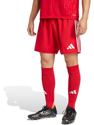 Adidas TASTIGO25 Sho M Erkek Futbol Antrenman Şortu JN7157 Renkli