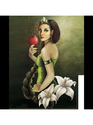 Marsilyan- Kanvas Nar Tanesi Sayılarla Boyama Seti Kasnaklı