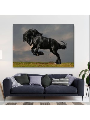 Marsilyan- Şaha Kalkmış Siyah At TABLOSU-6620