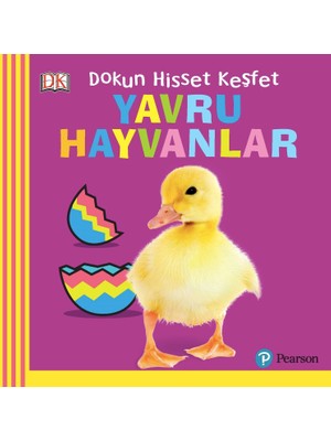 Yavru Hayvanlar Dokun Hisset Keşfet