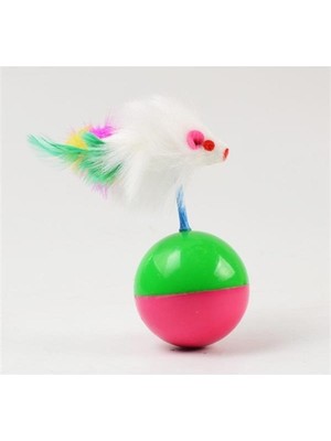 Kedı Oyun Topu Farelı Hacı Yatmaz