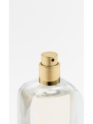 Zara Fıelds At Nıghtfall Edp 30 ml (1.0 Fl. Oz).