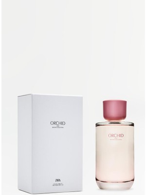 Zara Orchıd Edp 180 ml (6.08 Fl. Oz).