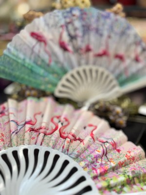 baytoptan Plastik Desenli Yelpaze