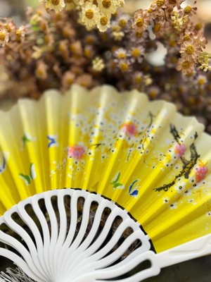 baytoptan Plastik Desenli Yelpaze