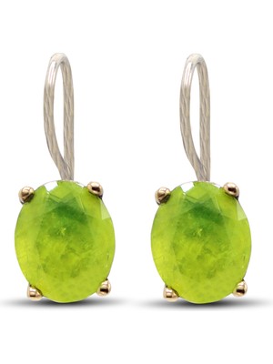 Paraiba Taşlı Otantik Gümüş Kadın Küpe 201024132