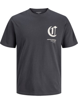 Jack & Jones Erkek Bisiklet Yaka Baskili Tisört - Version