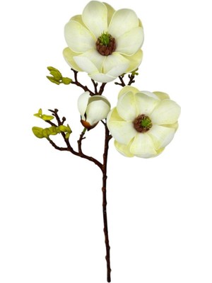 Yapay Çiçek Krem Eva Manolya 2 Çiçek 1 Tomurcuk Uzun Dal Çiçek Flowers 55CM Gerçeksi Doku