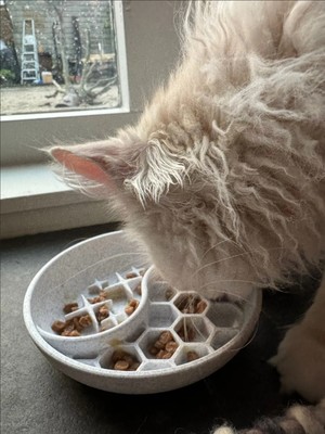 Kedi ve Köpekler Için Yavaş Mama Kabı - Eğlenceli Zeka Oyunu Tabak | Slow Feeder Mama Kasesi