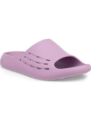 Ecco Cozmo E Lavender Mist