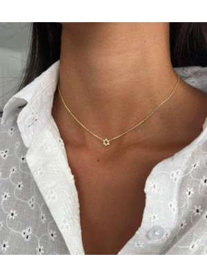 Davud Yıldızı 14 Ayar Altın Kolye