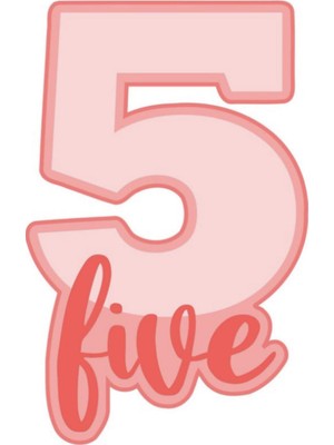 BYR 5 (Beş) Adet Kurabiye Kalıbı (Plastik Aparattır!!!)