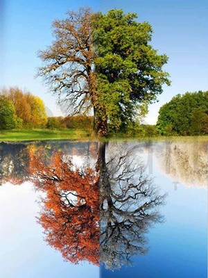 Dört Mevsim Ağacı  30*40 cm   Pixart Sanat Elmas Mozaik Tablo Diamond Türkiye