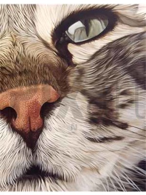 PixArt Kedi 40 x 60 Elmas Mozaik Tablo